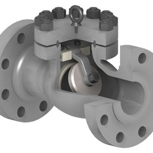 check-valve-swing-type